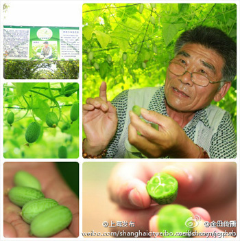 拇指西瓜图片