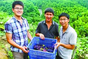 三名大学毕业生回农村自主创业 要做中国农村合伙人