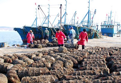 山东乳山今年牡蛎增产收购价格较高 养殖户心