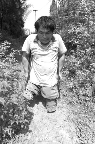 三农 致富殿堂   李杰文是一位残疾人,他从小患先天性小儿麻痹症,双腿