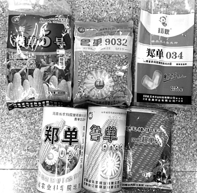 郑州查获一批涉嫌假玉米种子