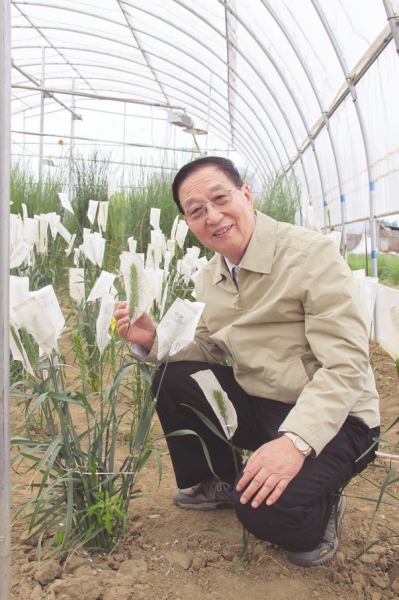 中国种业十大功勋人物心声二:科学家要勇于创新